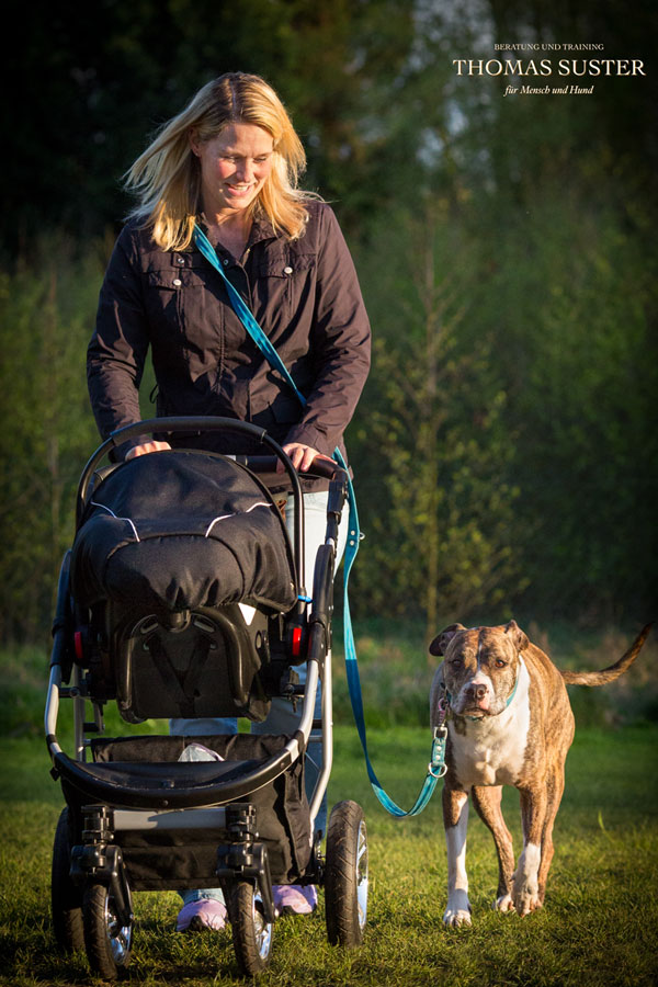 baby und hund training hundeschule oberhausen