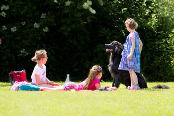 kind und hund erziehung thomas suster