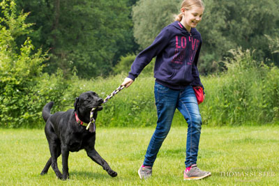 kind und hund erziehung