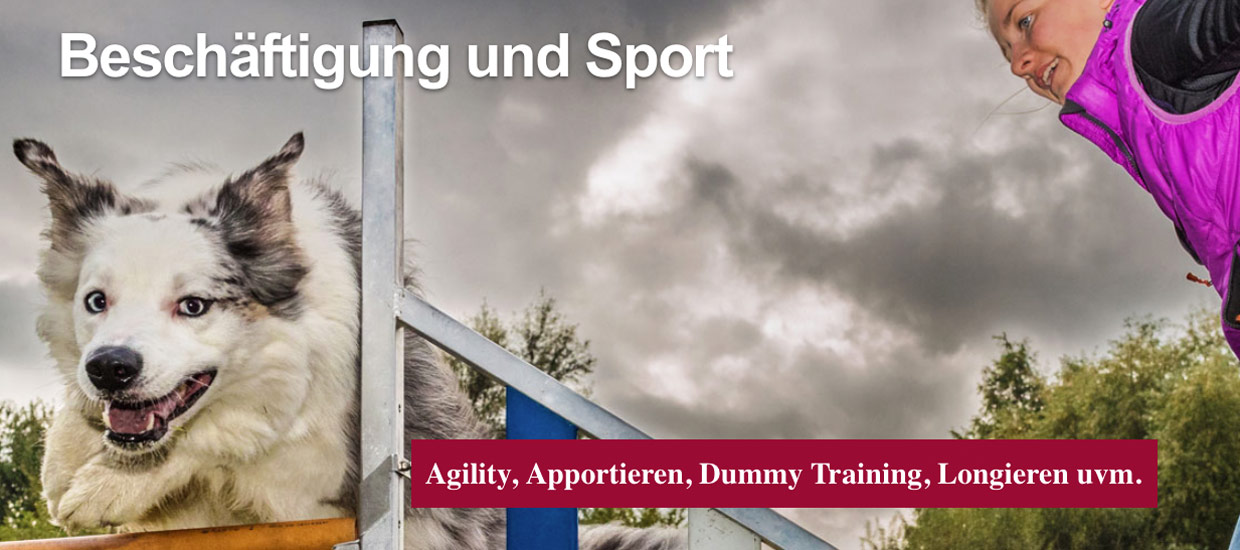 beschaeftigung-und-sport-thomas-suster