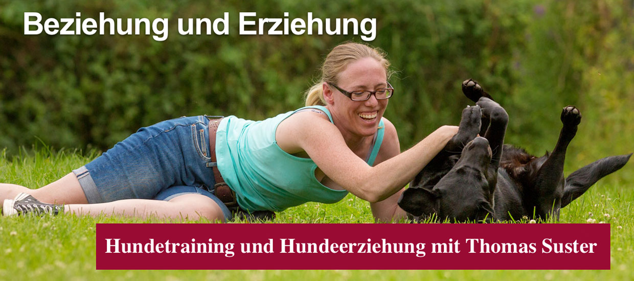 hunde-beziehung-und-erziehung-thomas-suster