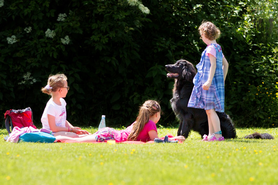 Baby, Kind und Hund